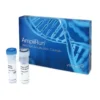 AMPLIRUN® SARS-CoV-2