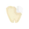 Askina® DresSil Sacrum