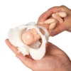 Beckenmodell mit Geburtspuppe aus weichem Stoff