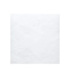 Bosch Vivalytic Ersatzluftfilter