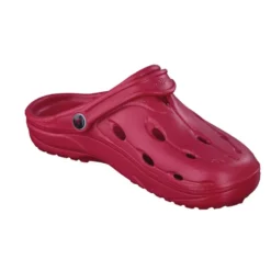 chung-shi Dux Clogs