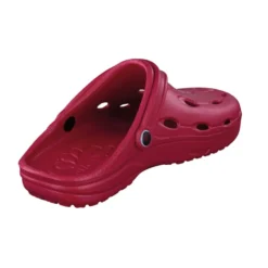 chung-shi Dux Clogs