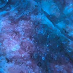 DermLite DL5 Plus