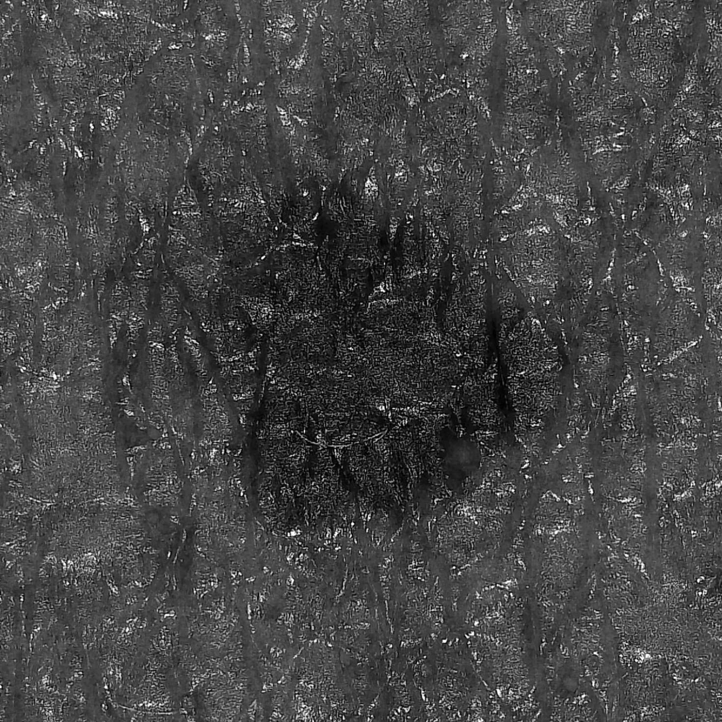 DZ-D100 Dermatologie-Kamera