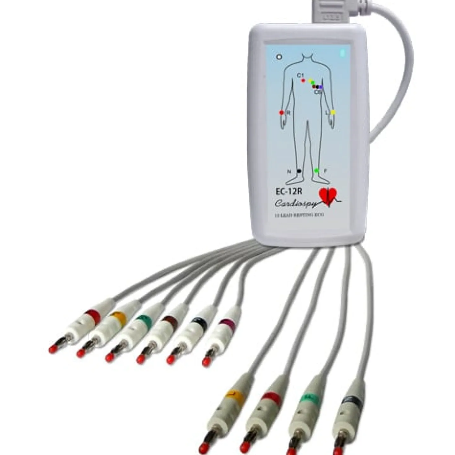EC-12R PC-Ruhe-EKG