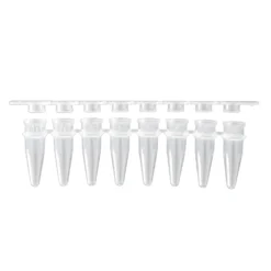 Eppendorf PCR-Tubes (0,2 ml)