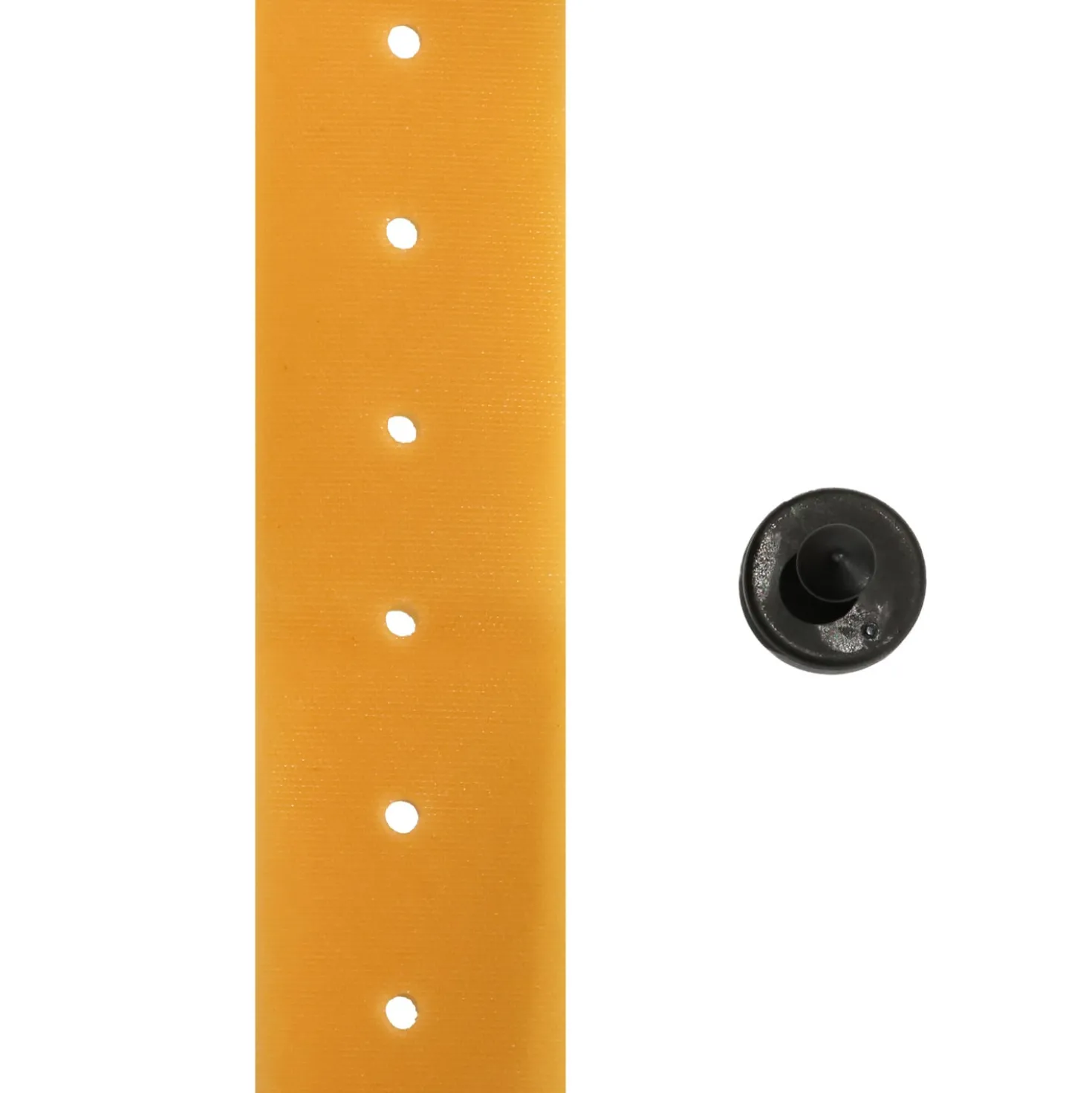 Gummiband