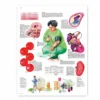 Lehrtafel Bluthochdruck