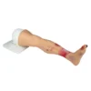 Lena Leg Anatomisches Beinmodell