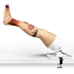 Lena Leg Anatomisches Beinmodell