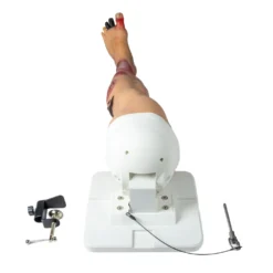 Lena Leg Anatomisches Beinmodell