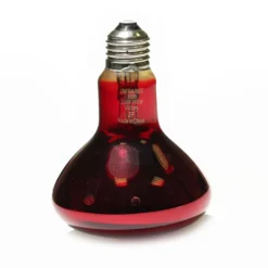 Leuchtmittel für Infrarotlampe