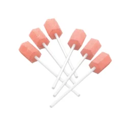 Leukoplast® swab oral foam