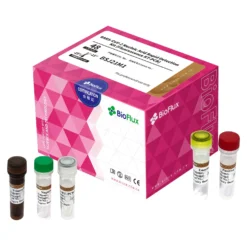 LineGene SARS-CoV-2 Test-Kit