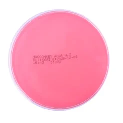 MacConkey Agar
