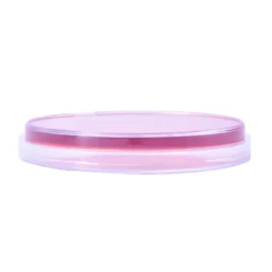 MacConkey Agar