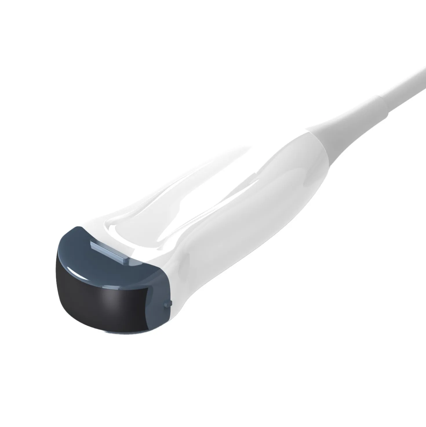 Mikro-Konvex-Sonde MC3-T