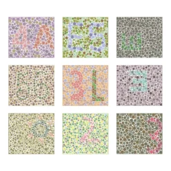 1m4 Ishihara-Farbtafeln