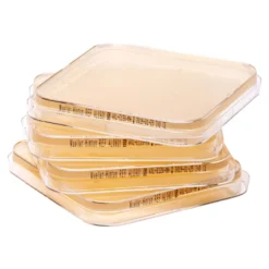 Mueller-Hinton Agar