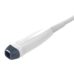 Phased-Array-Sonde D6P64L