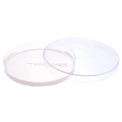 Sabouraud 2 % Dextrose-Agar