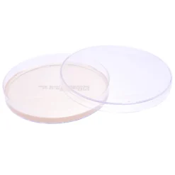 Sabouraud Dextrose Agar