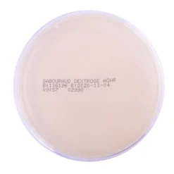 Sabouraud Dextrose Agar