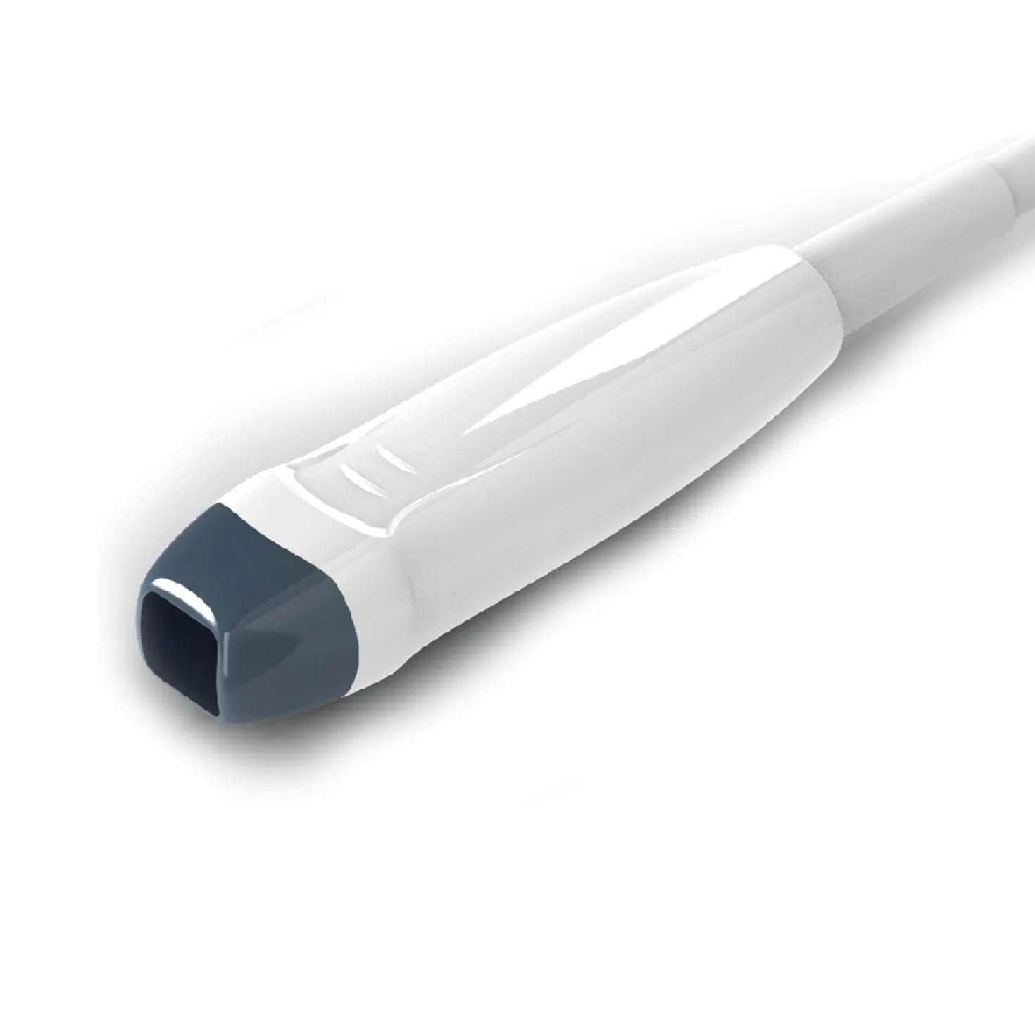 SonoBook 8 Phased-Array-Sonde
