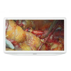 SONY LMD-X550MD