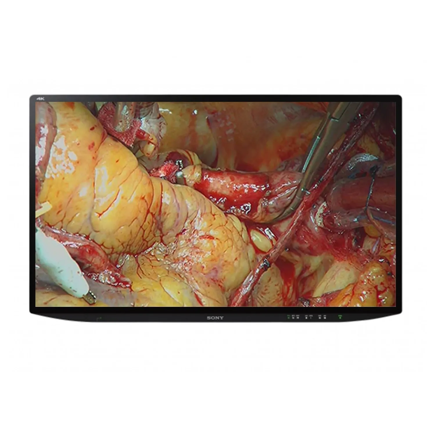 SONY Monitor
